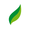 leaf-01